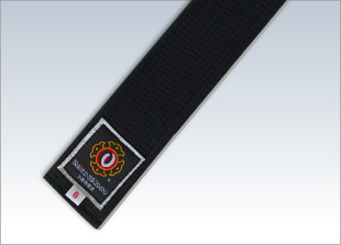Special-Order Rank Obi (Silver) wide