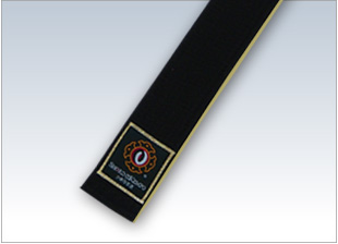 Special-Order Rank Obi (Gold) regular